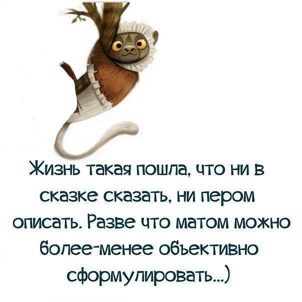 Жизнь такая пошпа что ни в сказке сказать ни пером описать Разве что матом можно болееменее объективно сформулировать