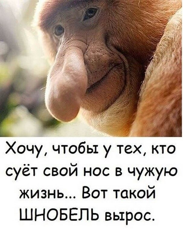 Хочу чтобы у тех кто суёт свой нос в чужую жизнь Вот такой ШНОБЕЛЬ вырос