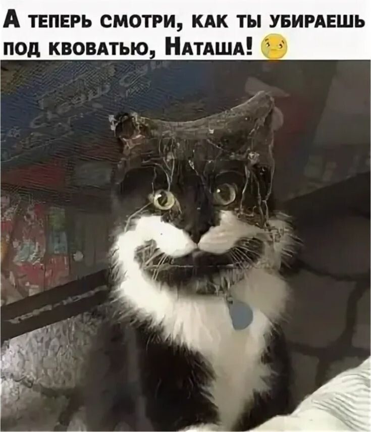 А теперь смотри, как ты убираешь под квоватью, наташа! 65