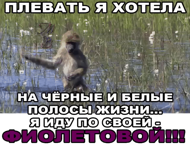 плЕВАть я ХОТЕЛА а А г _ ц Д Т _ _ ъг И НА ЧЁРНЬЕ И БЁЛЬЁ_ ПОЛОСЫ ЖИЗНИ ап сполна опт