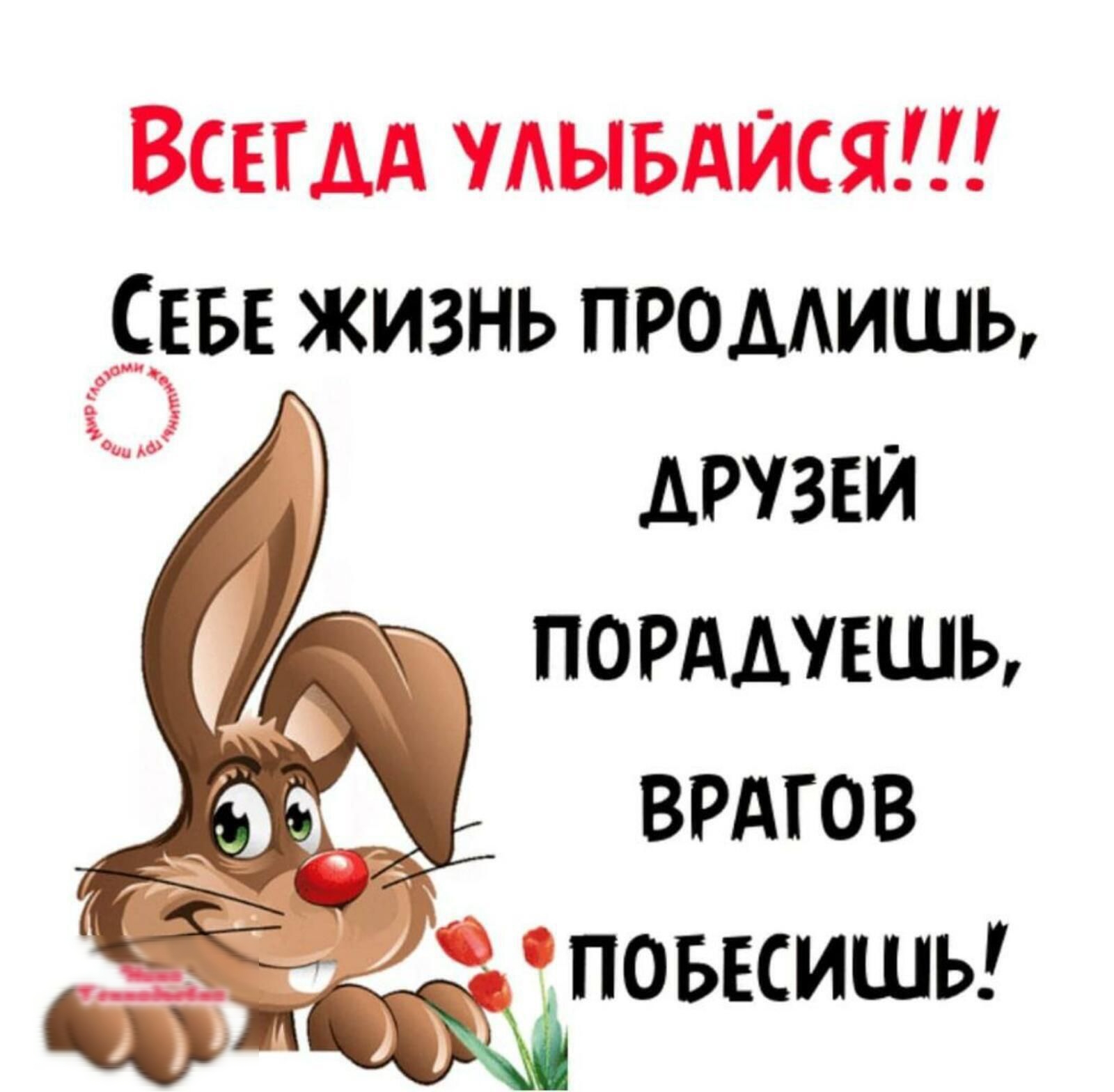 Всегдд удывдися вы жизнь промишь друзей пордшшь врдгов