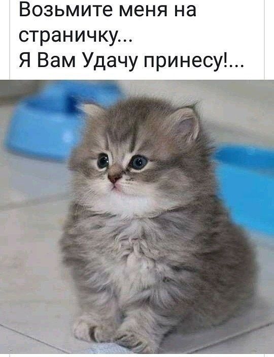 Возьмите меня на страничку Я Вам Удачу принесу