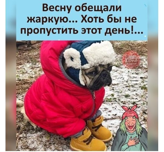 Весну обещали жаркую Хоть бы не пропустить этот день