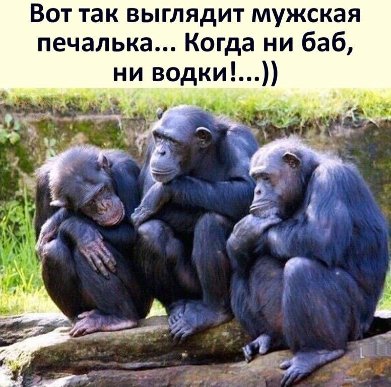 Вот так выглядит мужская печалька Когда ни баб ни водки на _ _ __ 4
