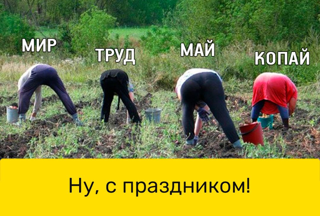 м О К И Н Л 3 а 0 П С У Н