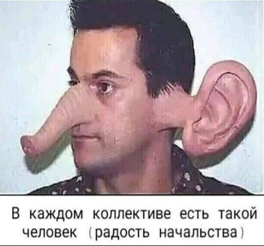 В каждом коллективе есть такой человек радость начальства
