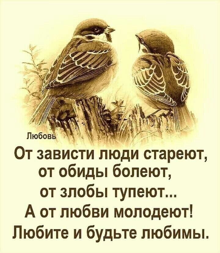 От зависти люди стареют от обиды болеют от злобы тупеют А от любви молодеют Любите и будьте пюбимы