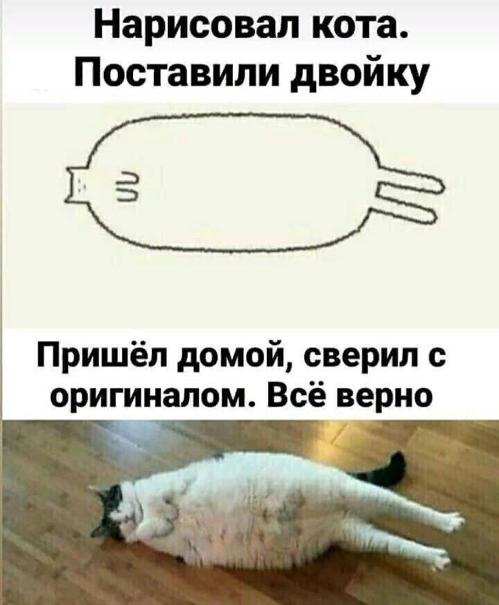 Нарисовал кота Поставили двойку Пришёл домой сверил с оригиналом Всё верно