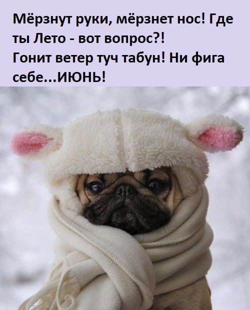 Мёрзнут руки мёрзнет нос Где ты Лето вот вопрос Гонит ветер туч табун Ни фига себеИЮНЬ