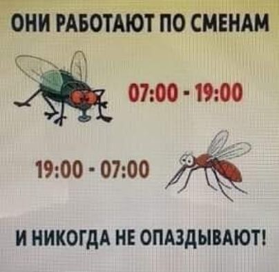 и 1ти ц пгт щин ОНИ РАБОТАЮТ ПО СМЕНАМ ЁЁ 0700 1900 1900 0700 41 И НИКОГДА НЕ ОПАЗДЫВАЮТ