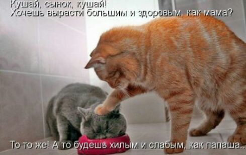 __ То то же А то Ешь х игым и слабым Как папаша