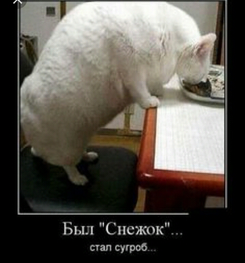 Был Снежок сгал сугроб