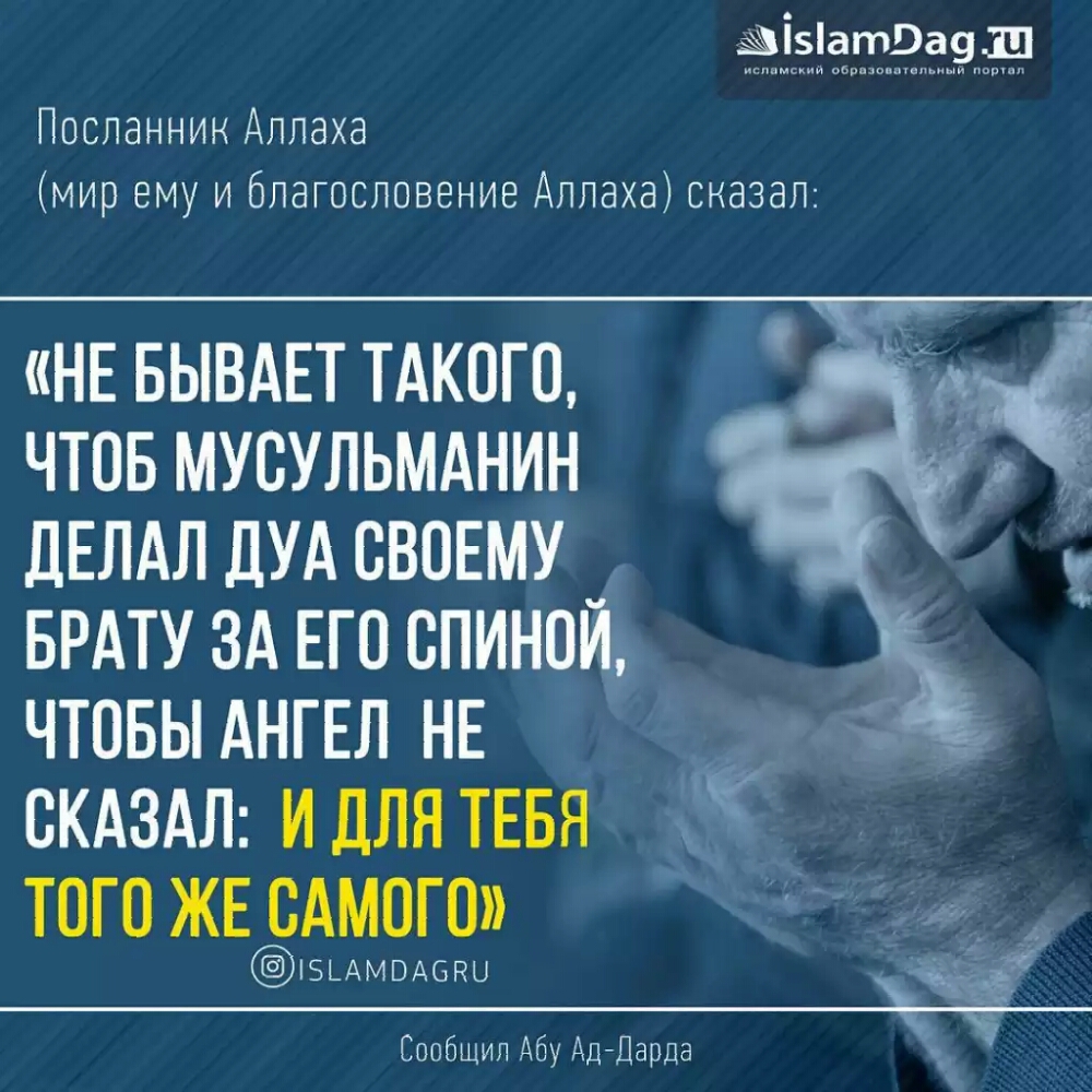Посланнин Аллаха мир ему и благословение Аллаха сказал НЕ БЫВАЕТ ТАКОГО чтов мусульмднин ДЕЛАЛ дудсвошу БРАТУ зд ЕГО спинойд чтовы АНГЕЛ НЕ скдздл и для ТЕБЯ того ЖЕ сАмого Сообщи ил Абу Ад Дарда