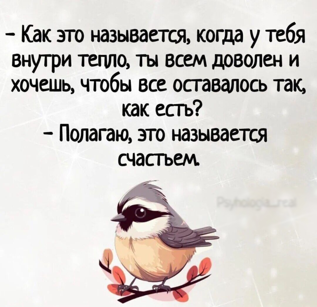 Как это называется когда у тебя внутри тепло ты всем доволен и хочешь чтобы все оставалось так как есть Полагаю это называется СЧЭСГЬЕМ