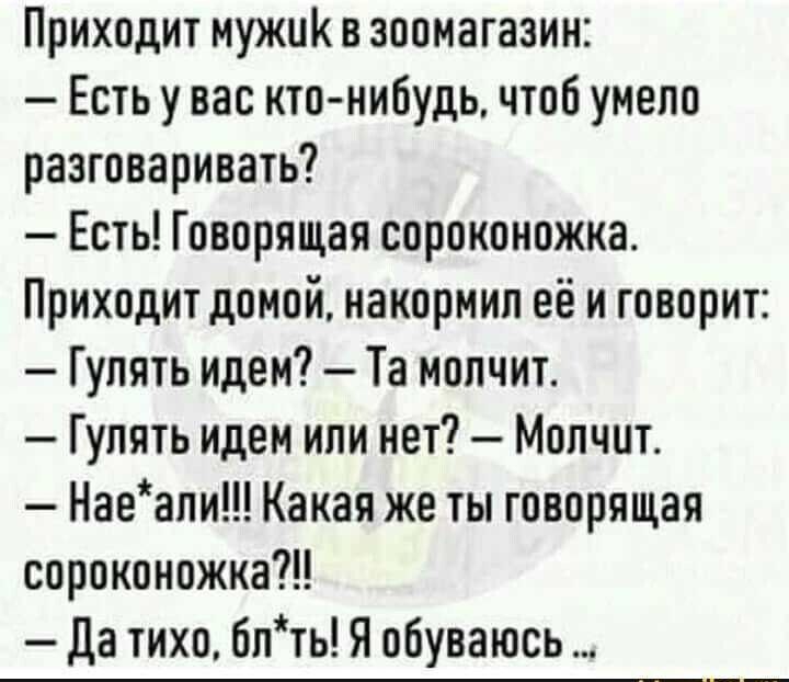 Приходит мужик в зоомагазин Есть у вас кто нибудь чтоб умело разговаривать Есть Говорящая сороконожка Приходит домой иакориип её и говорит Гулять идеи Та молчит Гулять идеи или нет Мопчит Наеапи Какая же ты говорящая сороконожка да тихо Бпть Я обуваюсь __ПШ