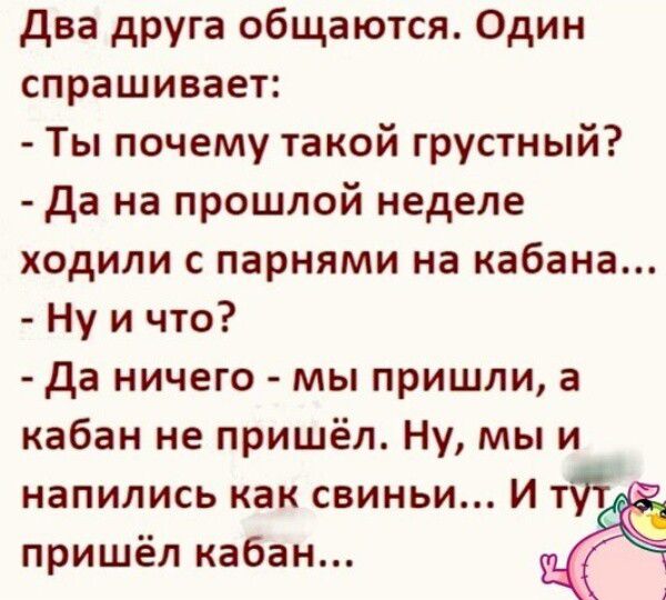 два друга общаются Один спрашивает Ты почему такой грустный да на прошлой неделе ходили с парнями на кабана Ну и что да ничего мы пришли а кабан не пришёл Ну мы и напились как свиньи и ту пришёл кабан