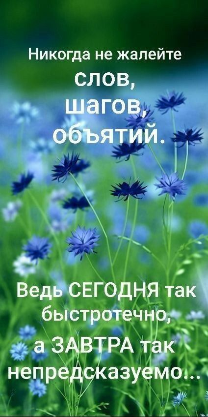 Никогда не жалейте слов о гов_ ТИЙ 3 в _ ВеМСЕГОДНЯ так быстротеч а ЗЫВ АЦДЕ непредгіазуёмо ч