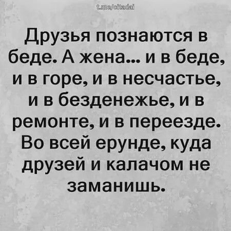 Друзья познаются в беде А жена и в беде и в горе и в несчастье и в безденежье и в ремонте и в переезде Во всей ерунде куда друзей и калачом не заманишь