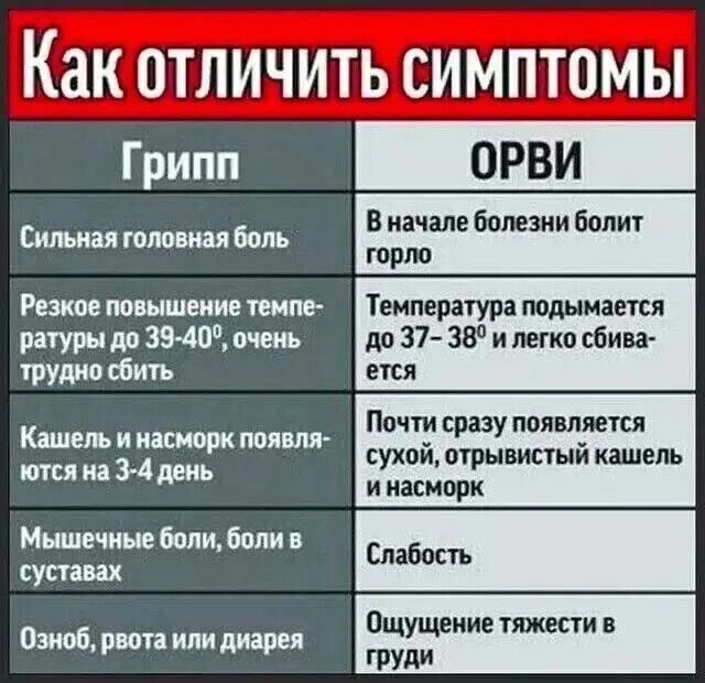 Как отличить симптомы Грипл В начале болезни болит РЕРНОЕ ЕТОАНАСЛИАЦСТОЗМЙ Температура подымается ПГНЕ СОЧ до 37 38 и легко сби трудно сбить ется Почти сразу появляется суяои трывистый кашель Кашель и насморк появля ются на 3 4 день вЕ ЕРОНЕЕ в груди