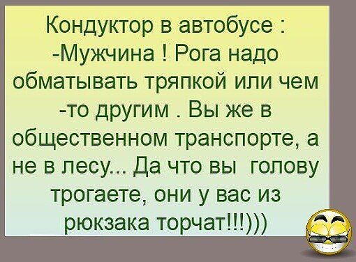 Кондуктор в автобусе Мужчина Рога надо обматывать тряпкой или чем то другим Вы же в общественном транспорте а не в лесу Да что вы голову трогаете они у вас из рюкзака торчат