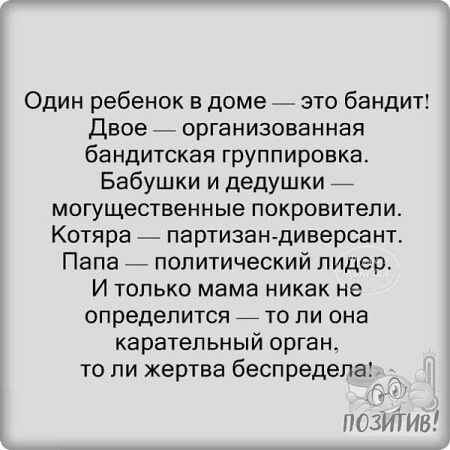 Один ребенок в доме это бандит Двое организованная бандитская группировка Бабушки и дедушки могущественные покровители Котяра партизан диверсант Папа политический лидер И только мама никак не определится то ли она карательный орган то ли жертва беспредела ПОЗИТИВ