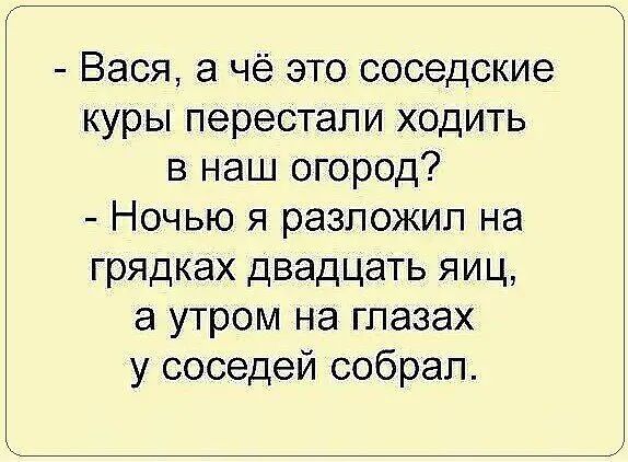 Вася а чё это соседские куры перестали ходить в наш огород Ночью я разложил на грядках двадцать яиц а утром на глазах у соседей собрал