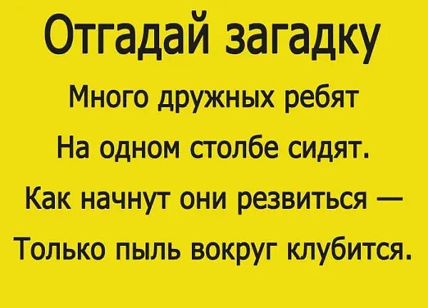 Отгадай загадку
Много дружных ребят
На одном столбе сидят.
Как начнут они резвиться —
Только пыль вокруг клубится.