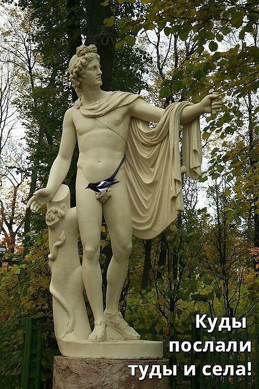 Куды послали туда и села!