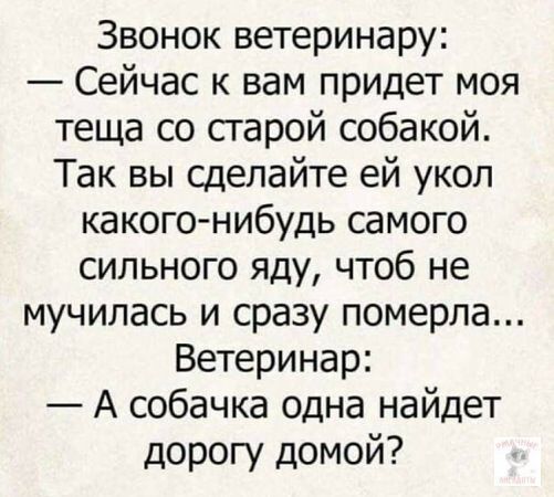 Звонок ветеринару:
— Сейчас к вам придет моя теща со старой собакой. Так вы сделайте ей укол какого-нибудь самого сильного яда, чтобы не мучилась и сразу померла...
Ветеринар:
— А собачка одна найдет дорогу домой?