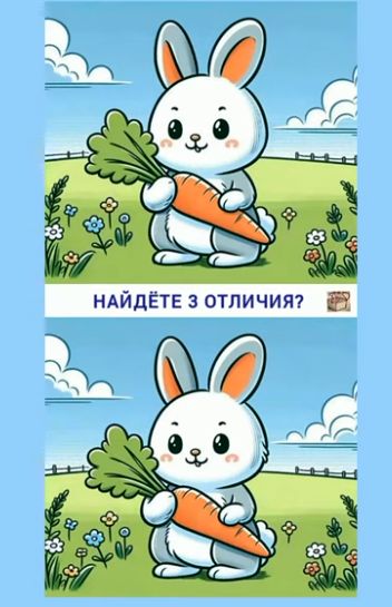 НАЙДЕТЕ 3 ОТЛИЧИЯ?