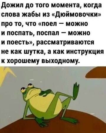 Дожил до того момента, когда слова жабы из «Дюймовочки» про то, что «поел — можно и поспать, поспал — можно и поесть», рассматриваются не как шутка, а как инструкция к хорошему выходному.