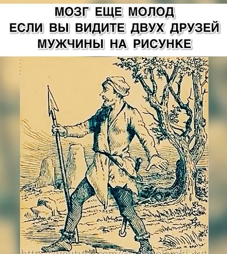 МОЗГ ЕЩЁ МОЛОД
ЕСЛИ ВЫ ВИДИТЕ ДВУХ ДРУЗЕЙ МУЖЧИНЫ НА РИСУНКЕ