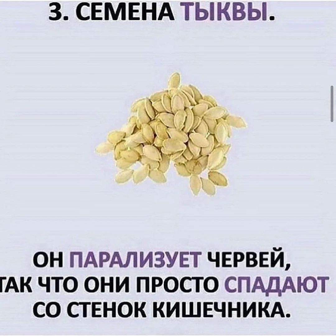 3. Семена тыквы. Он парализует червей, так что они просто спадают со стенок кишечника.