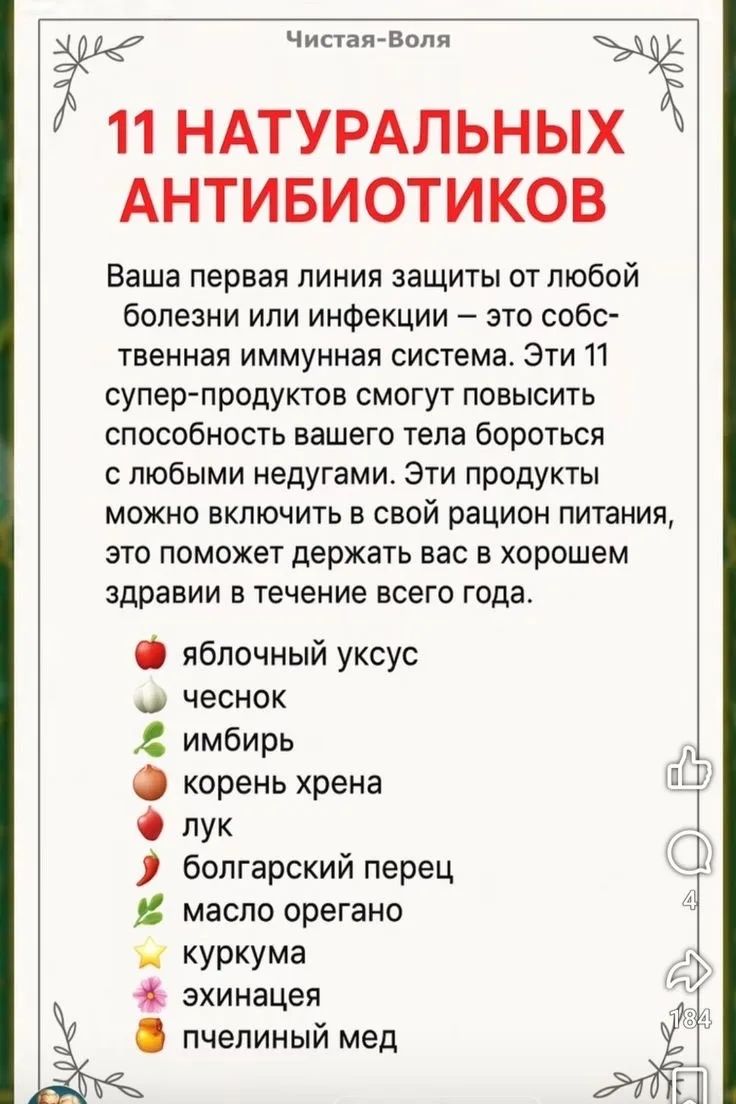 11 НАТУРАЛЬНЫХ АНТИБИОТИКОВ. Ваша первая защита — иммунная система. Эти продукты могут помочь телу бороться с недугами и включаются в рацион: яблочный уксус, чеснок, имбирь, корень хрена, лук, болгарский перец, масло орегано, куркума, ехинацея, пчелиный мед
