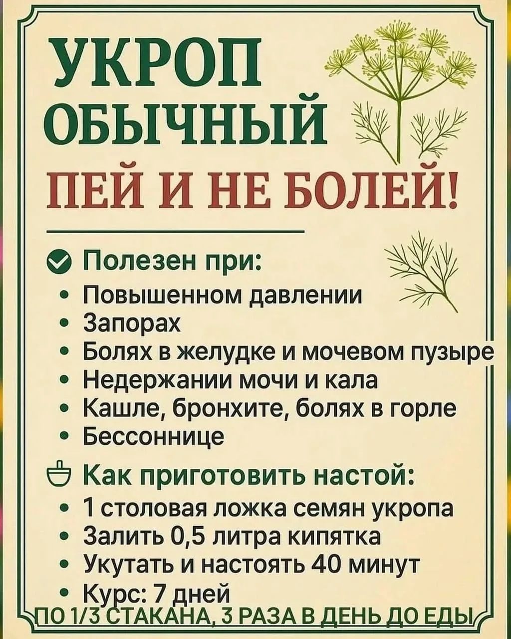 УКРОП ОБЫЧНЫЙ ПЕЙ И НЕ БОЛЕЙ! Полезен при: Повышенном давлении Запорах Боли в желудке и мочевом пузыре Нереджании мочи и кала Кашле, бронхите, болях в горле Бессоннице Как приготовить настой: 1 столовая ложка семян укропа Залить 0,5 литра кипятка Укутать и настоять 40 минут Курc: 7 дней По 1/3 стакана, 3 раза в день до еды