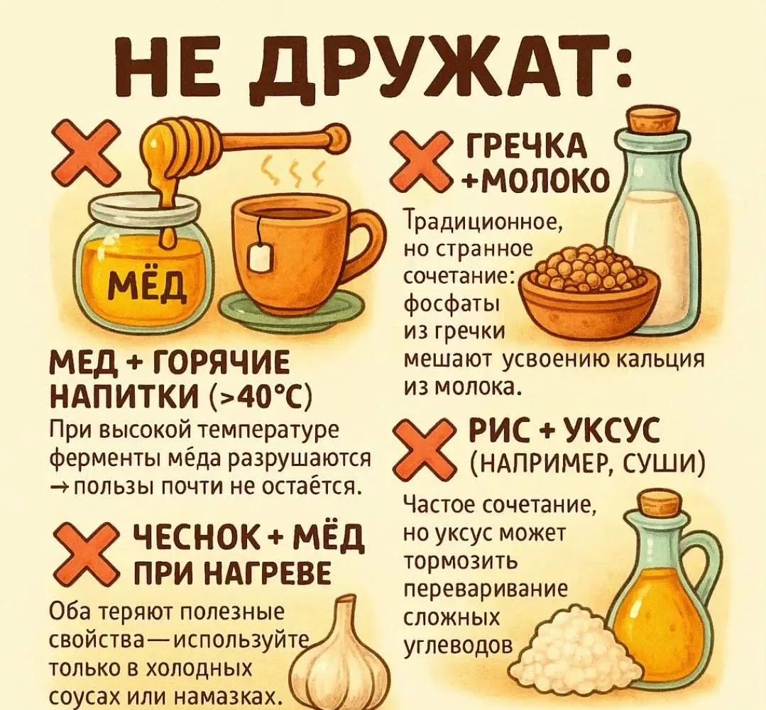 НЕ ДРУЖАТ: МЕД + ГОРЯЧИЕ НАПИТКИ (>40°С) — ферменты меда разрушаются, польза почти не остаётся. ЧЕСНОК + МЁД при нагреве теряют полезные свойства. ГРЕЧКА + МОЛОКО мешают усвоению кальция. РИС + УКСУС тормозят переваривание сложных углеводов.