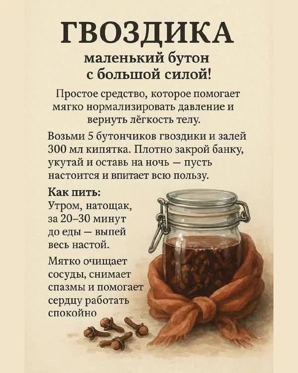 ГВОЗДИКА
маленький бутон с большой силой! Простое средство, которое помогает мягко нормализовать давление и вернуть лёгкость телу. Возьми 5 бутончиков гвоздики и залей 300 мл кипятка. Плотно закрой банку, укутай и оставь на ночь — пусть настоится и впитает всю пользу.
Как пить:
Утром, натощак, за 20–30 минут до еды — выпей весь настой.
Мятко очищает сосуды, снимает спазмы и помогает сердцу работать спокойно.