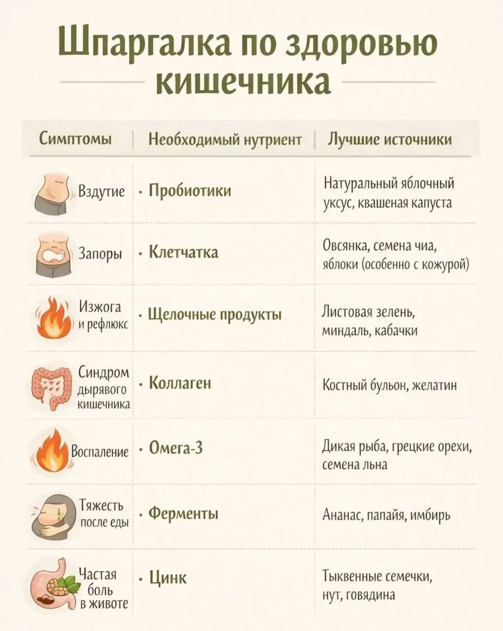 Шпаргалка по здоровью кишечника. Симптомы — вздутие, запоры, изжога/рефлюкс, синдром раздра, воспаление. Необходимый нутриент — пробиотики, клетчатка, щелочные продукты, коллаген, омега-3, ферменты, цинк. Лучшие источники — яблочный уксус и квашеная капуста; овсянка, семена чиа, яблоки; зелень, миндаль, кабачки; костный бульон/желатин; дикая рыба, грецкие орехи, семена льна; ананас, папайя, имбирь.