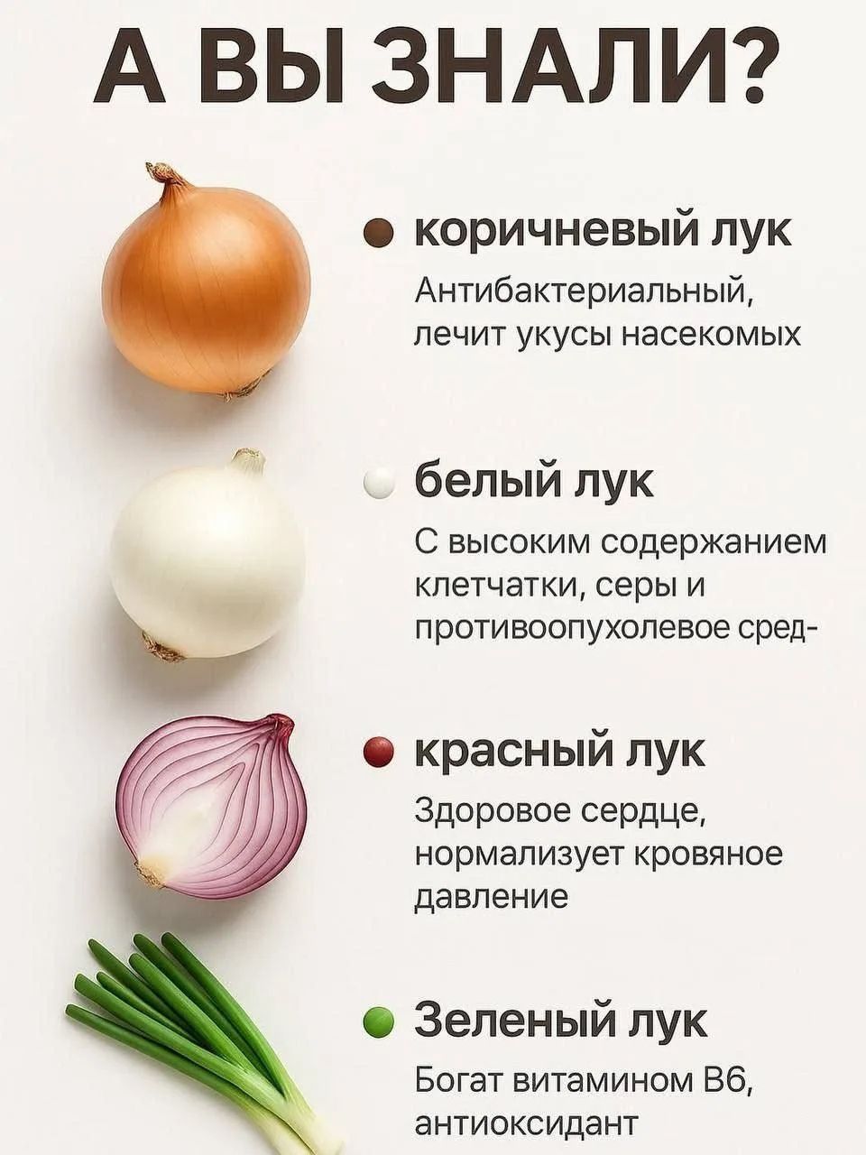 А ВЫ ЗНАЛИ? коричневый лук Антибактериальный, лечит укусы насекомых белый лук С высоким содержанием клетчатки, серы и противоопухолевое сред- красный лук Здоровое сердце, нормализует кровяное давление Зеленый лук Богат витамином В6, антиоксидант