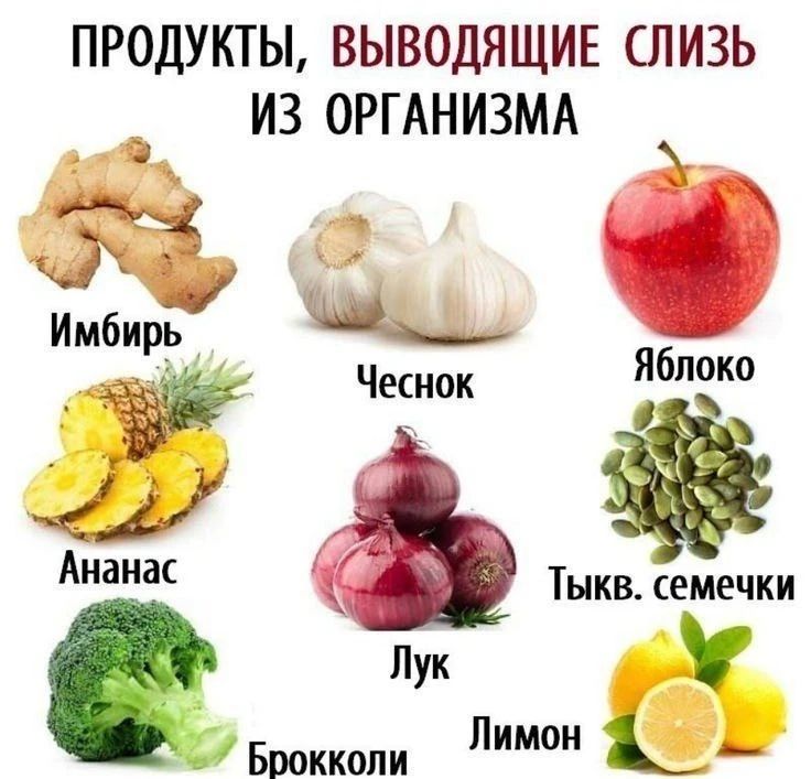 ПРОДУКТЫ, ВЫВОДЯЩИЕ СЛИЗЬ ИЗ ОРГАНИЗМА Имбирь Чеснок Яблоко Ананас Лук Тыкв. семечки Брокколи Лимон