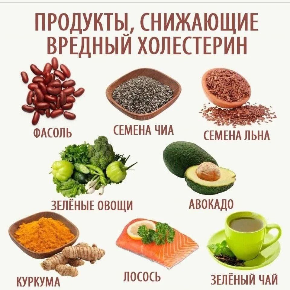 ПРОДУКТЫ, СНИЖАЮЩИЕ ВРЕДНЫЙ ХОЛЕСТЕРИН ФАСОЛЬ СЕМЕНА ЧИА СЕМЕНА ЛЬНА ЗЕЛЁНЫЕ ОВОЩИ АВОКАДО КУРКУМА ЛОСОСЬ ЗЕЛЁНЫЙ ЧАЙ