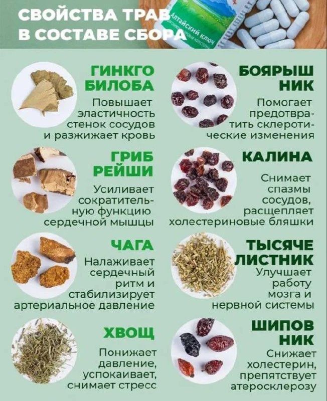 СВОЙСТВА ТРАВ В СОСТАВЕ СБОРА Алтайский ключ ГИНКГО БИЛОБА Повышает эластичность стенок сосудов и разжижает кровь ГРИБ РЕЙШИ Усиливает сократительную функцию сердечной мышцы ЧАГА Налаживает сердечный ритм и стабилизирует артериальное давление ХВОЩ Понижает давление, успокаивает, снимает стресс БОЯРЫШНИК Помогает предотвратить склеротические