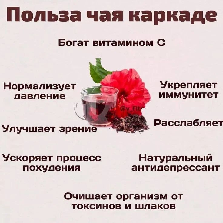 Польза чая каркаде Богат витамином С Нормализует давление Улучшает зрение Ускоряет процесс похудения Укрепляет иммунитет Расслабляет Натуральный антидепрессант Очищает организм от токсинов и шлаков