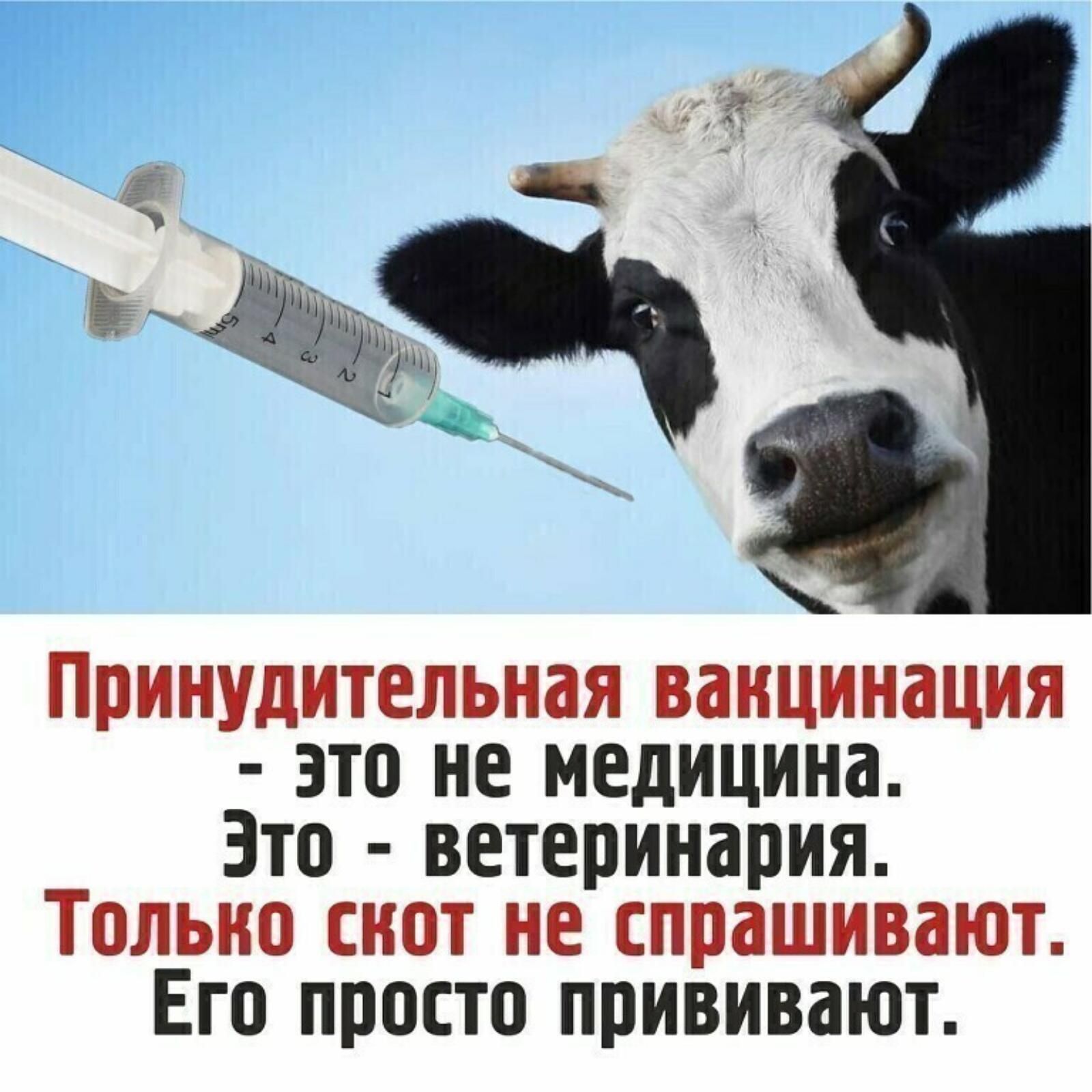 это не медицина.  Зто : ветеринария его просто прививают