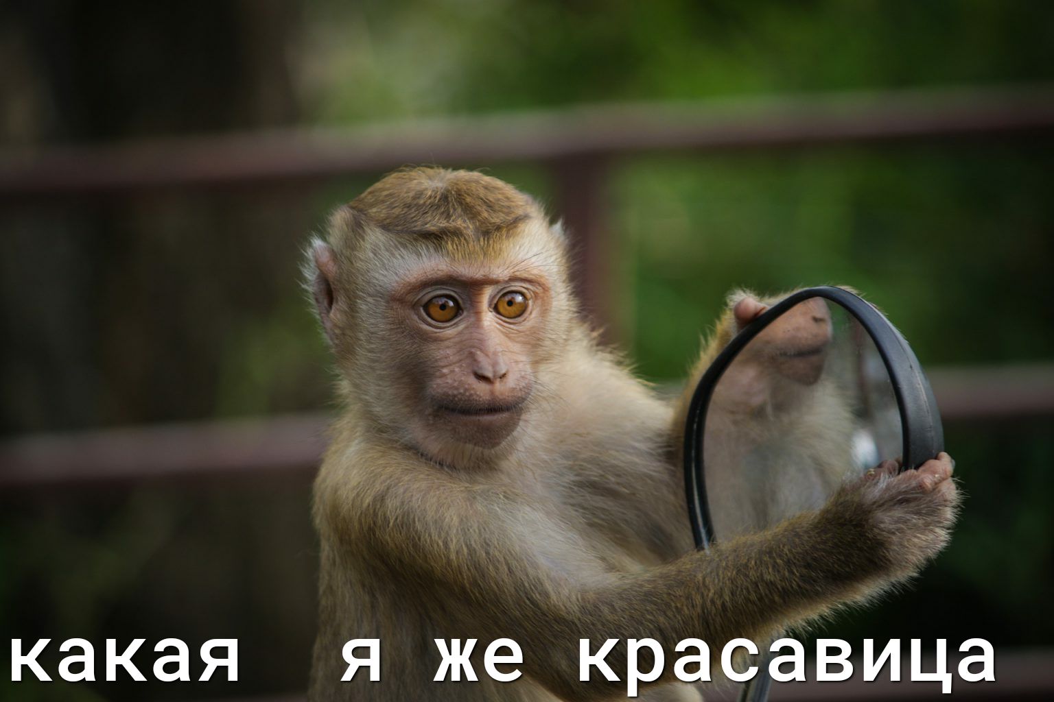 же 9353 И ца