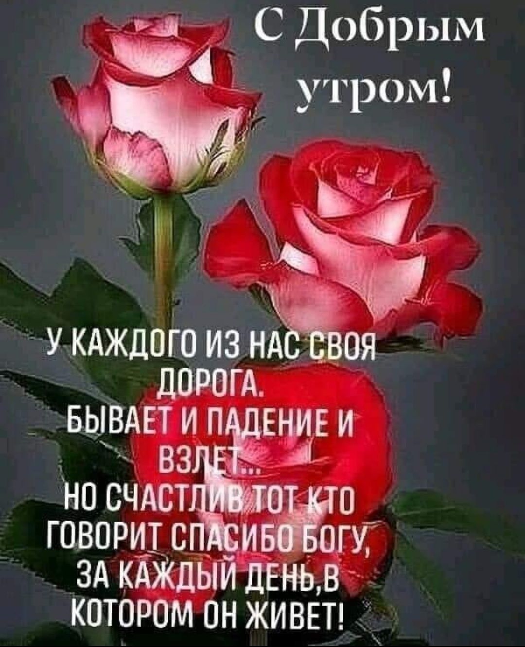 ш _ Сдобрым утром к укдждого из ндс оя ДОРОГА _ БЫВАЕТИП ЕНИЕИ но СЧАСТ говорит сёъж 3А КАЖДЫЙ ДЕНЬ в котором он ЖИВЕТ