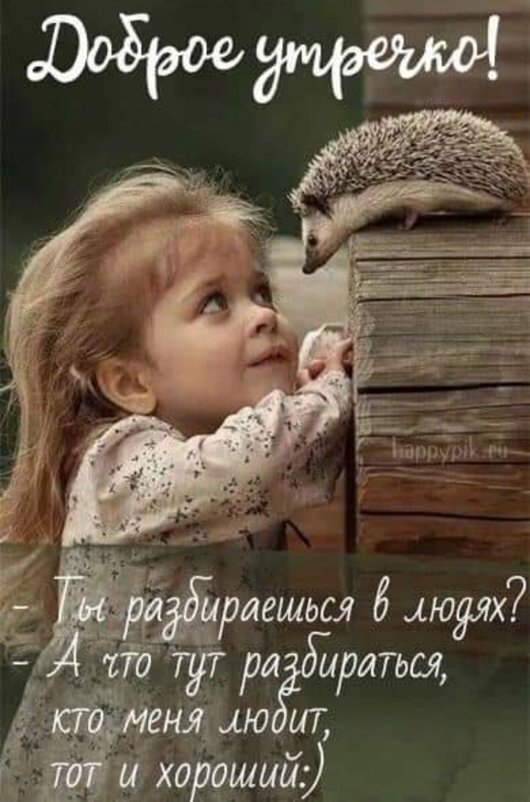 _ _РЛЁШЬСЯ біЮЯЯХ __ 5 тт ЧТ РаЁдЫЗЛТЬЫ