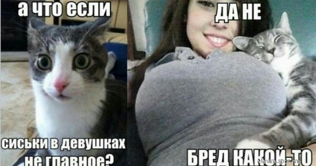 ауд щи сисьиивтёшнах