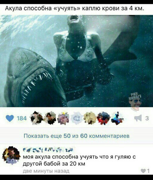 _ Акула способна учуять каплю крови за 4 км а дна иъ Показть еще 50 из 60 комменхариев Л пд моя акула способна учуять что я гуляю другой бабой за 20 км