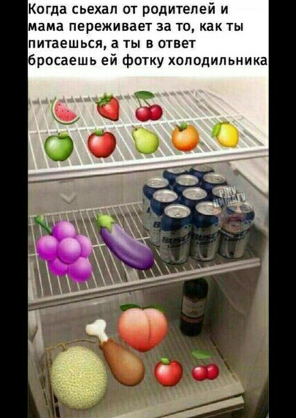 Когда съехал от родителей и мама переживает за то как ты ПИТВЕШЬСЯ а ТЫ В ОТВЕТ бросаешь ей фотку холодильника